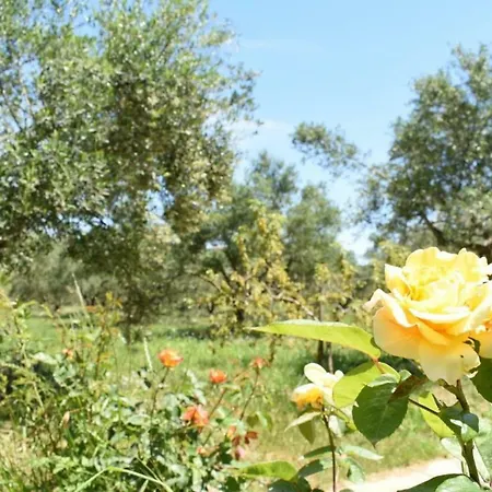 Holiday home Koule Koroni (Messinia)
